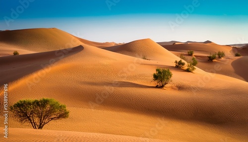 desert dunes with small trees