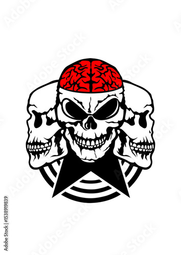 tete de mort face profil cerveau cervelle