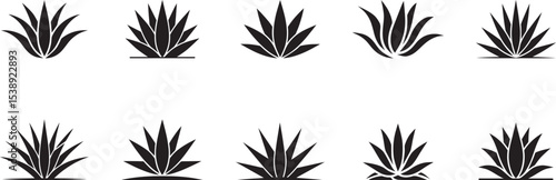 Agave plant silhouettes collection various styles. eps-10