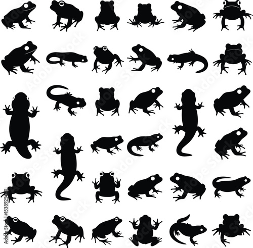Collection of frog and newt silhouettes