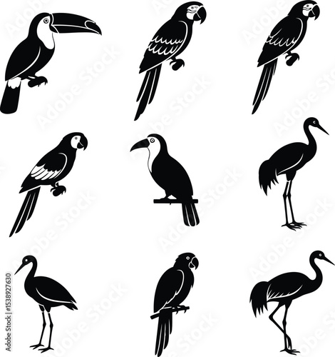 Collection of black and white bird silhouettes