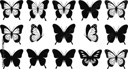 Collection of fifteen butterfly silhouettes on a white background