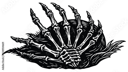 Detailed anatomical illustration of a human hand skeleton