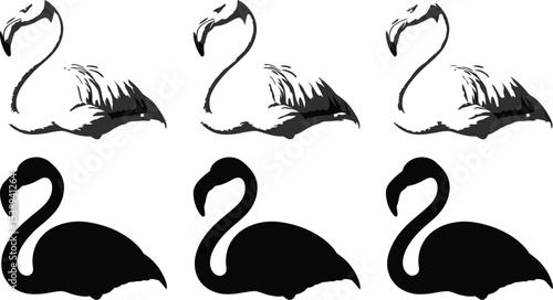 Monochrome image showing three flamingos and their respective shadows