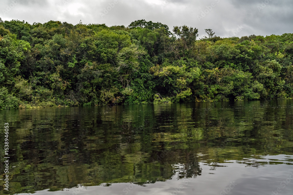 Fototapeta premium reflection on the amazon river of the vegetation of the biodiverse jungle, lung of the world with tones full of life in a journey of exploration