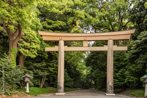 Obraz na plátně Torii Gate standing at the entrance to Meiji Jingu Shrine, Shibuya, Tokyo, Japan