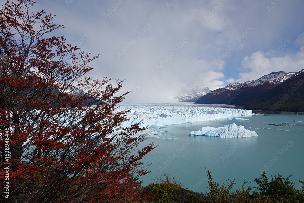 custom made wallpaper toronto digitalAutumn Colours at Perito Moreno Glacier, Patagonia, Argentina