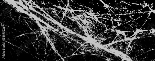 Detailed close-up view of intricate spider web structure showcasing natural artistry in black and white