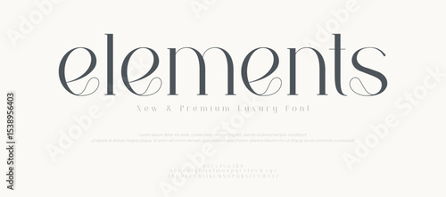 Luxury vintage alphabet letters font and number.  Classic Lettering Minimal Fashion Designs. Typography modern serif fonts regular decorative vintage concept. vector illustration
