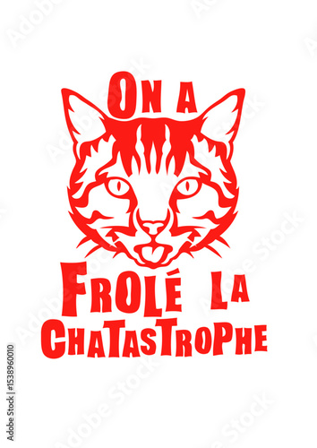 frole chatastrophe chat expression humour