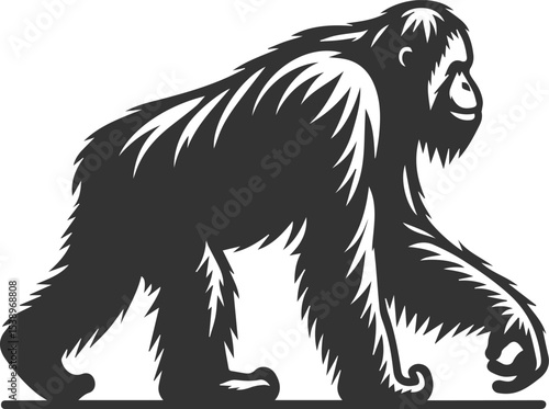 Vector illustration of a orangutan animal drawing silhouette