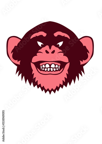 singe animal tete macaque chimpanzé
