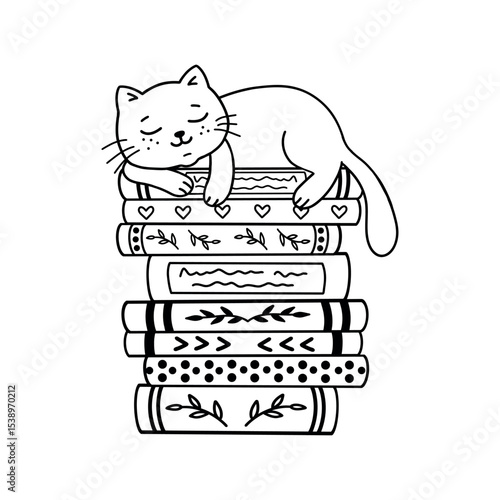 Vector illustration of a cat sleeping on books. 