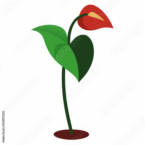 Flycatching Arum: Unique Plant

