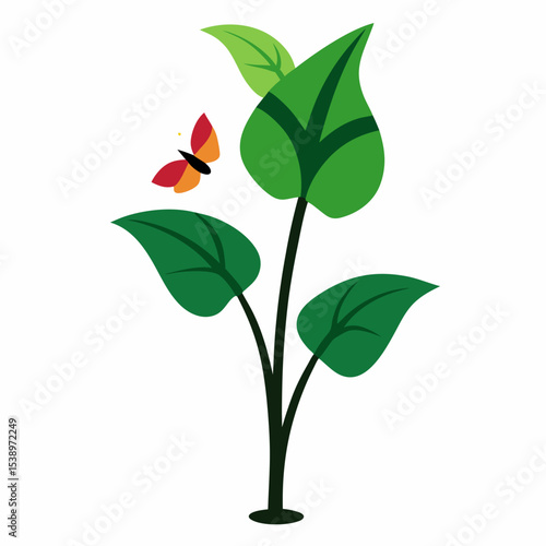 Flycatching Arum: Unique Plant

