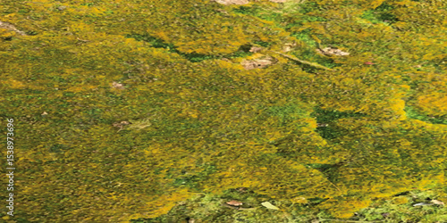 Moss on the tee nature underwater landscape background .