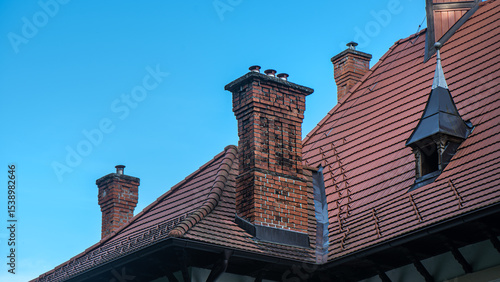 Fotografie Old brick chimneys on historic buildings