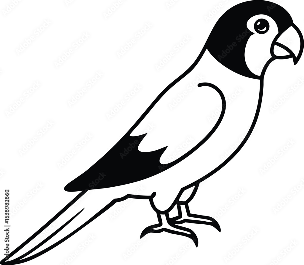 Fototapeta premium MACOW VECTOR