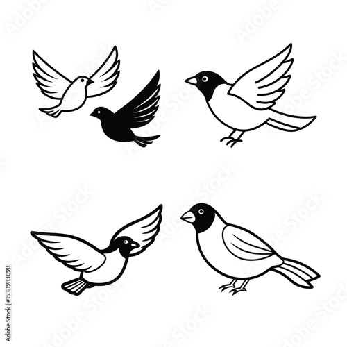 set of birds