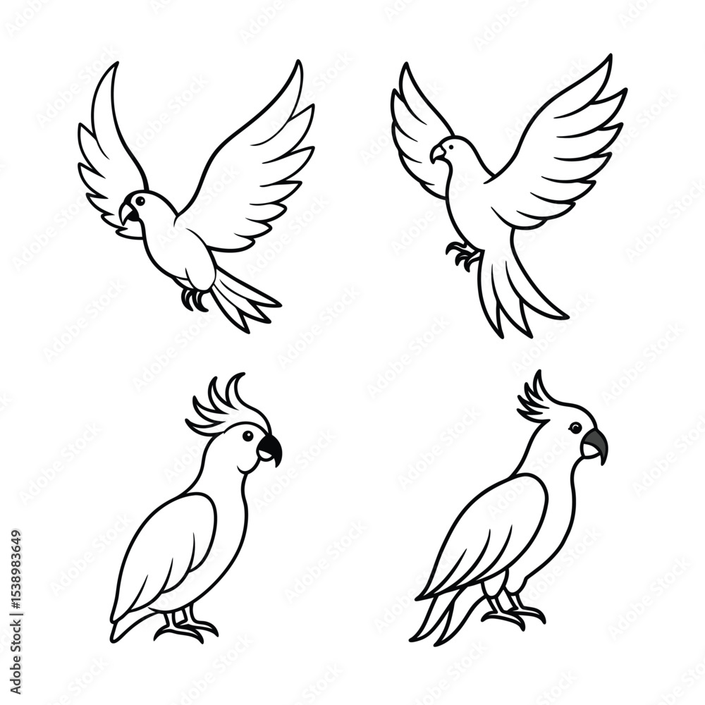 Fototapeta premium set of birds