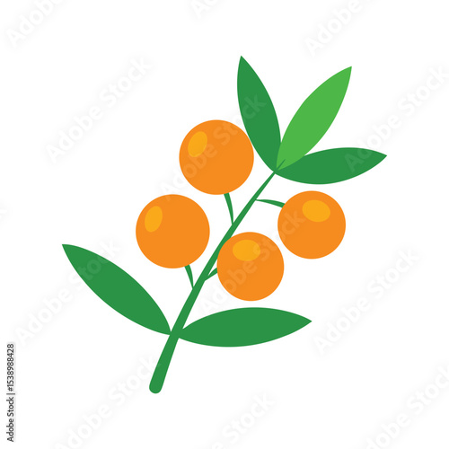 Sea buckthorn berry bunch drawing Vector illustration on white background