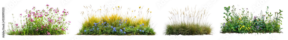Obraz premium PNG Vibrant floral garden arrangements, element set on transparent background