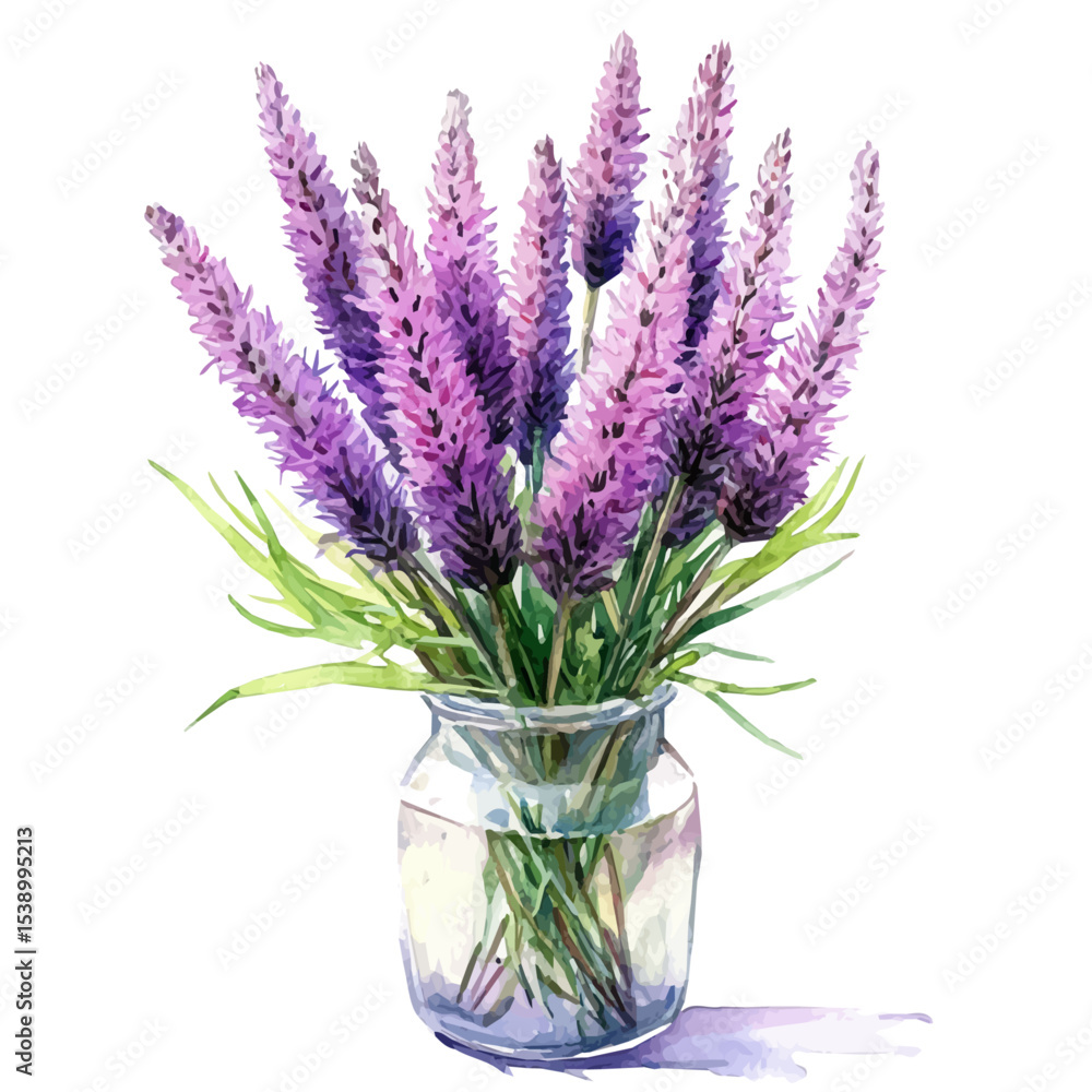 Naklejka premium A Blazing Star Liatris In A Vase, watercolor painting vector, isolated on a white background.