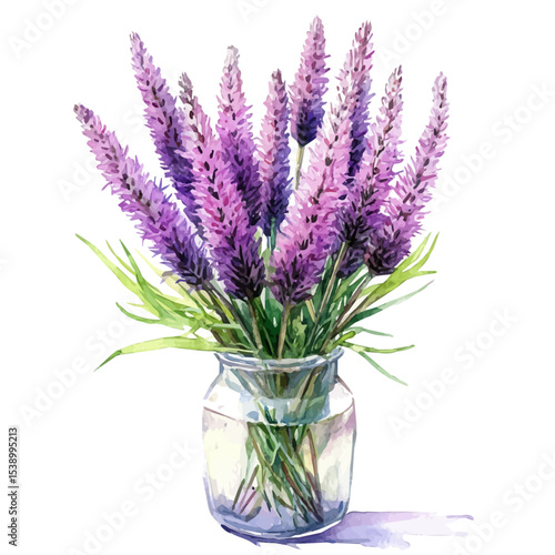 A Blazing Star Liatris In A Vase, watercolor painting vector, isolated on a white background.