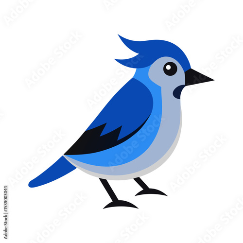 vector illustration of a blue jay bird