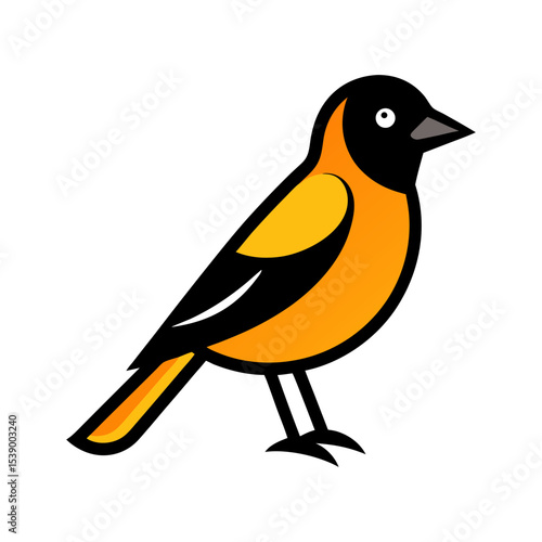 vector illustration of a oriole bird