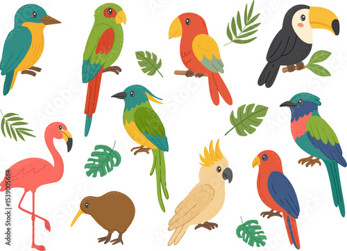 Tropical exotic birds set parrot, toucan, flamingo, kiwi, and cockatoo. Wild tropical animal. For kids content