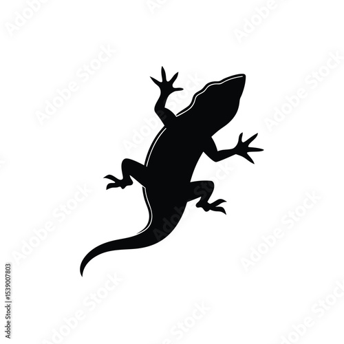 silhouette of a lizard on transparent background