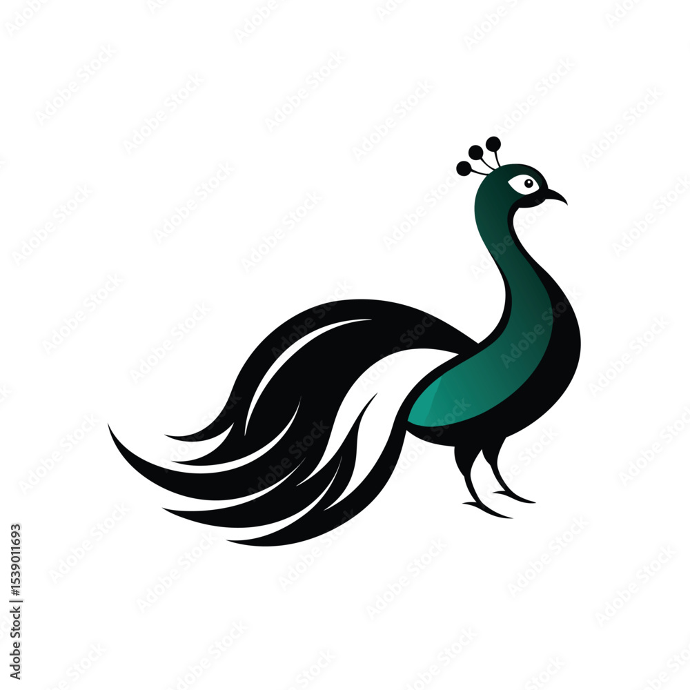 peacock feather silhouette on transparent background peacock feather silhouette on transparent background