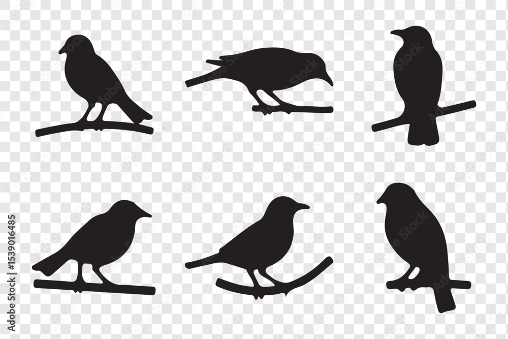 Obraz premium Silhouettes of birds doodle set. Black collection design animal cartoon for nature. Element graphic drawing sketch and isolated white background. Abstract decoration symbol.