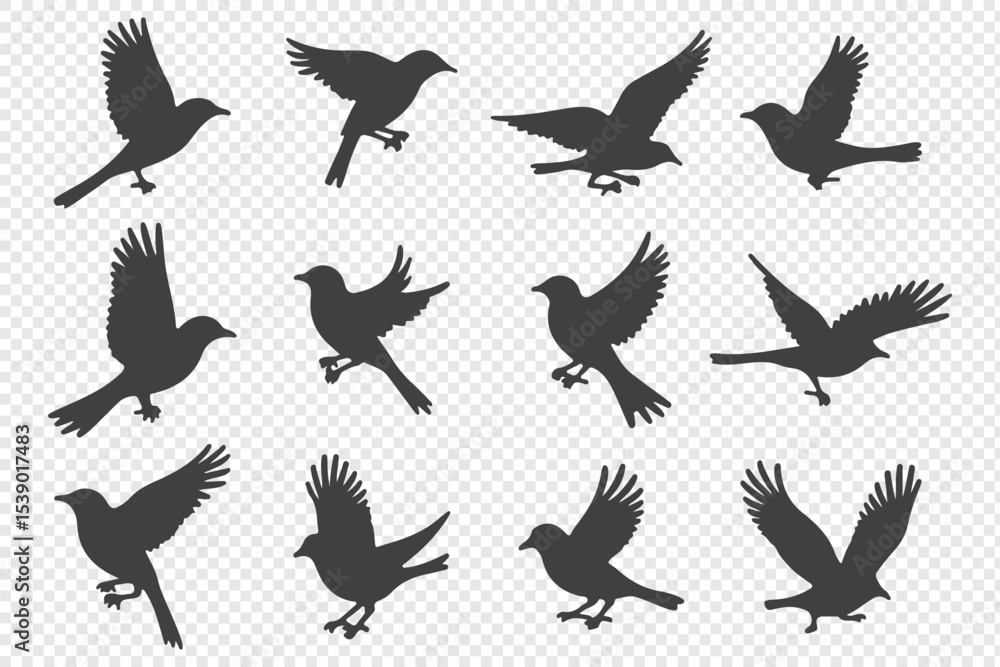 Fototapeta premium silhouettes of birds vector. bird silhouette vector illustration, perfect for logo design, art projects, and graphic design.