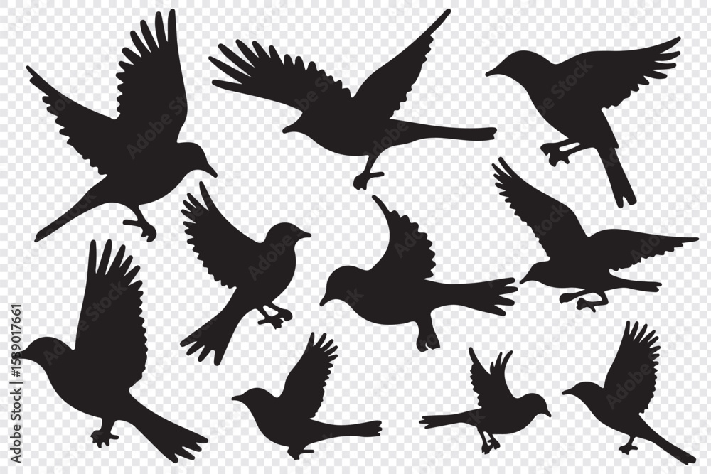 Fototapeta premium Bird's black silhouettes set. bird silhouettes. isolated on white background.