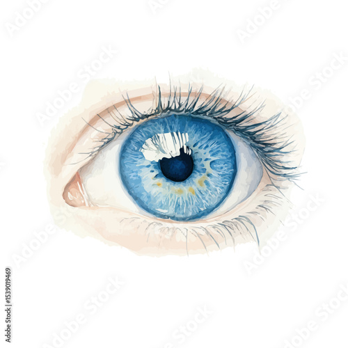 watercolor vector of A Baby Blue Eyes Stem, isolated on a white background.