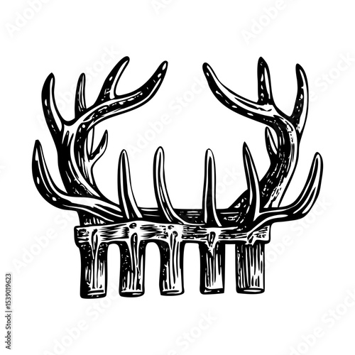 A vintage style illustration depicting an antler rack