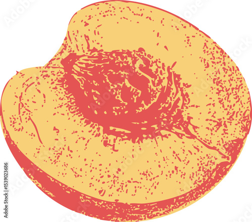 Vintage half peach fruit illustration with visible seed, engraved vector on white. Suitable for jam labels, cooking blogs, or vegan product design.