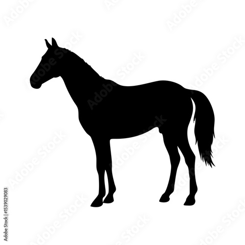 Horse Silhouette Vector – Elegant Stallion Outline, Equestrian Animal Icon, Farm Livestock Graphic, Graceful Galloping Horse Clipart, Black Horse Shape