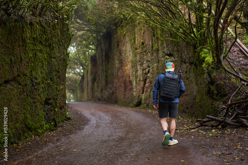 Wallpaper Mural Photographer hiking in rainy Anaga forest Torontodigital.ca