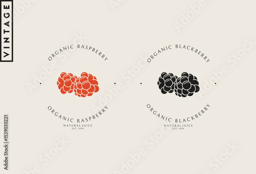 Raspberry and blackberry logo vector. Organic food
