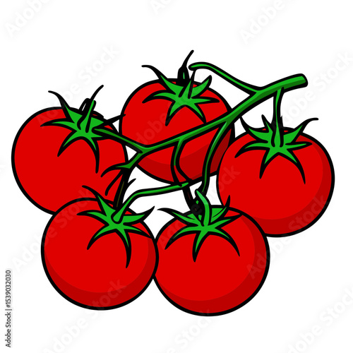 tomatoes on a vine