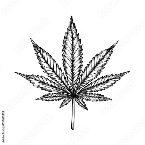 Cannabis leaf in sketchy style representing the concept of icon sketchy  