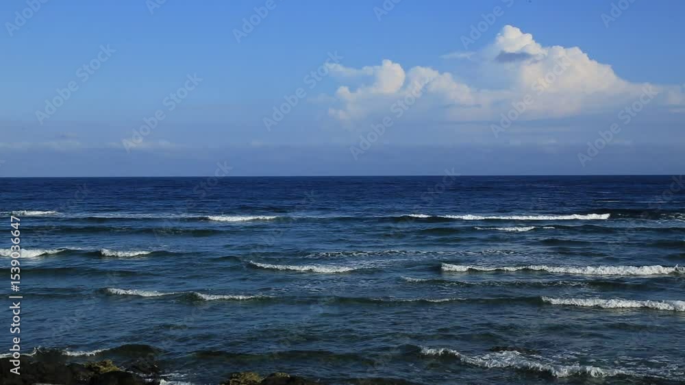 奄美大島の自然。海。 奄美大島の自然。海。