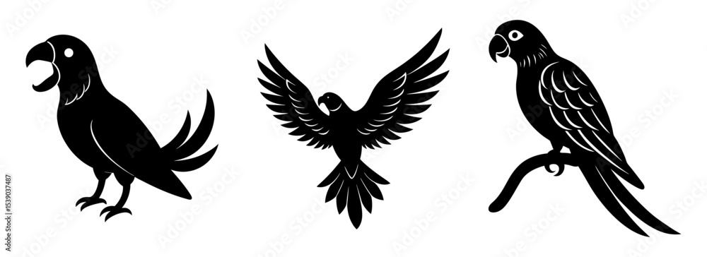 Fototapeta premium Silhouette set of exotic parrot avian tropical birds vector graphic