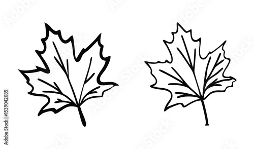 Two maple leaves isolated on white background in simple black and white outline style