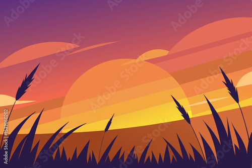 sunset over wheat field