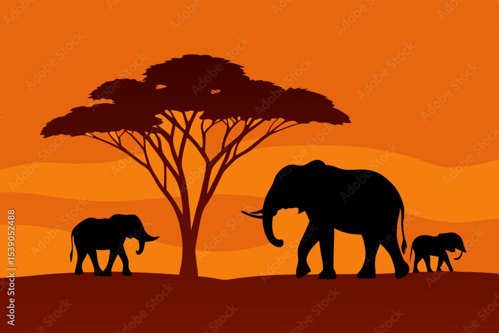 Fototapeta premium elephants on the sunset
