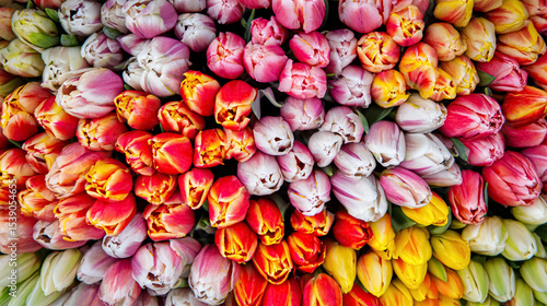 Colorful flower bouquet, beautiful arrangement.